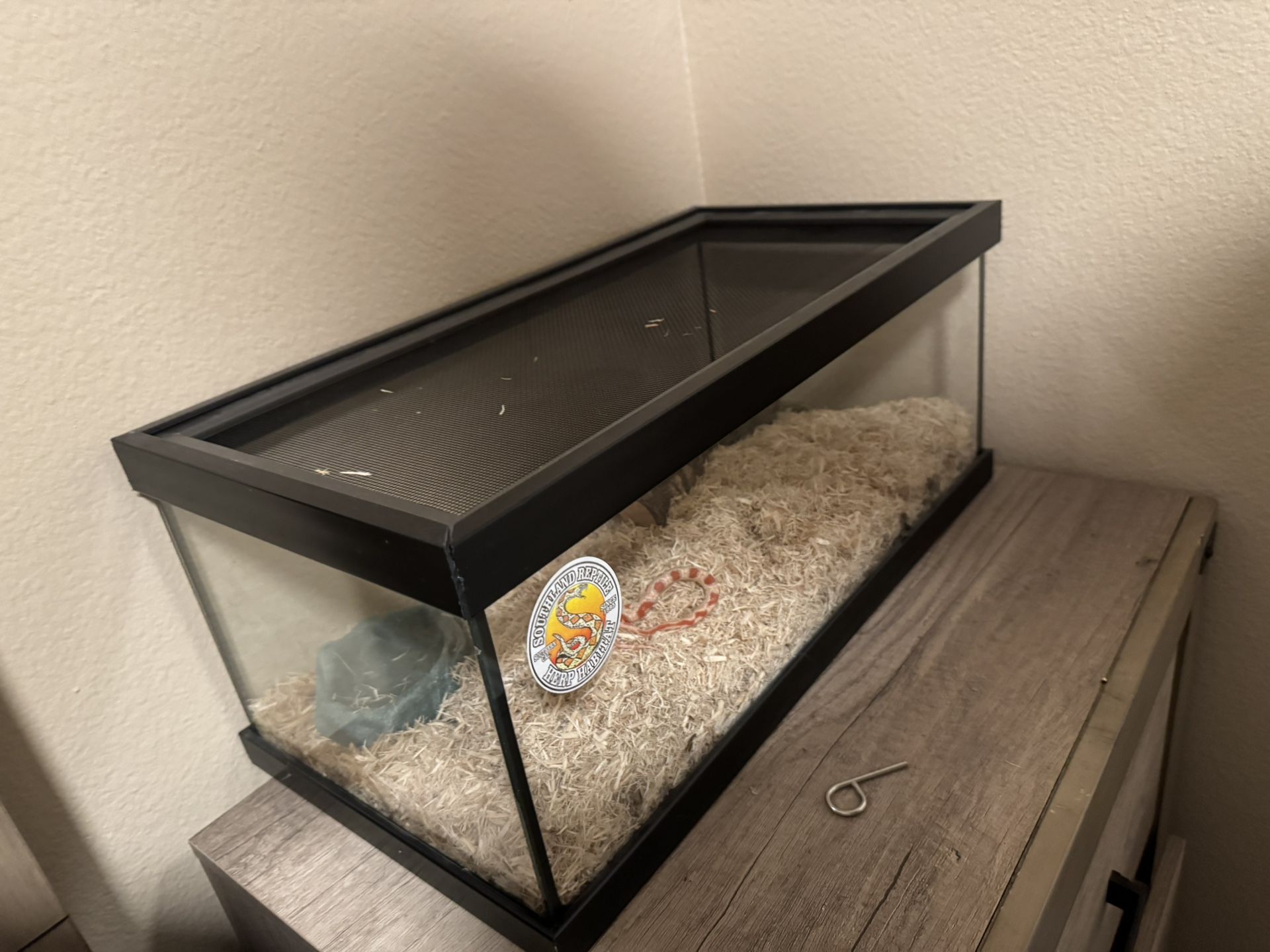 Snake Tank 