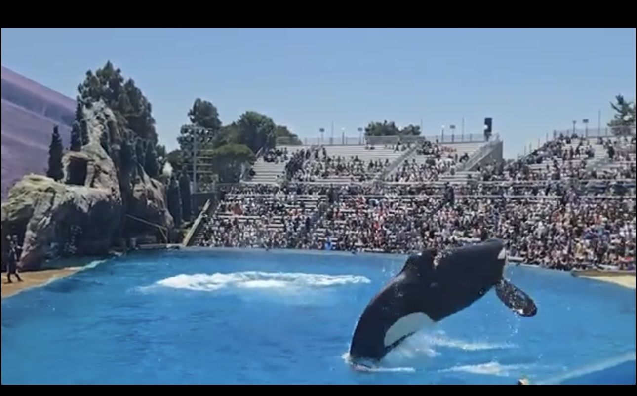4 SeaWorld Tickets