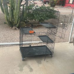 Large Bird Cage In Apache Junction 