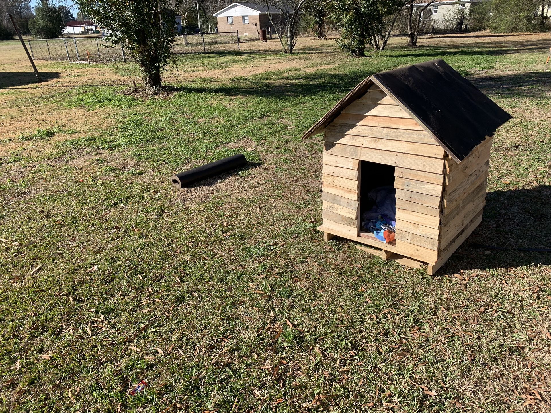 Dog House 