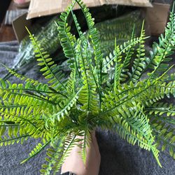 Decorative ferns artificial
