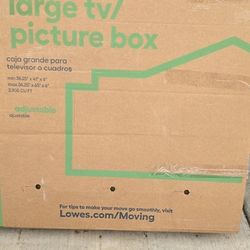 Lowes Large TV/PICTURE moving Box