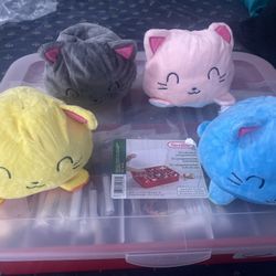 Inside Out Cats