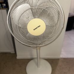 Standing Fan 