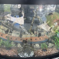 48 Gallon Bow-Front Tank and Accessories 
