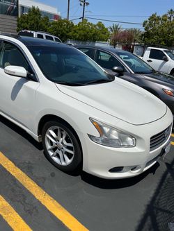 2010  white Nissan Maxima for sale