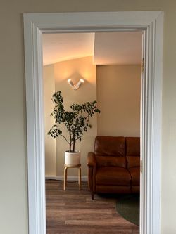 Reclining Leather Couch