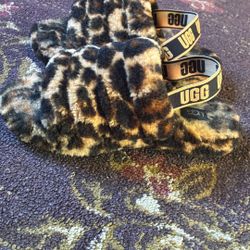 Ugg Slippers 