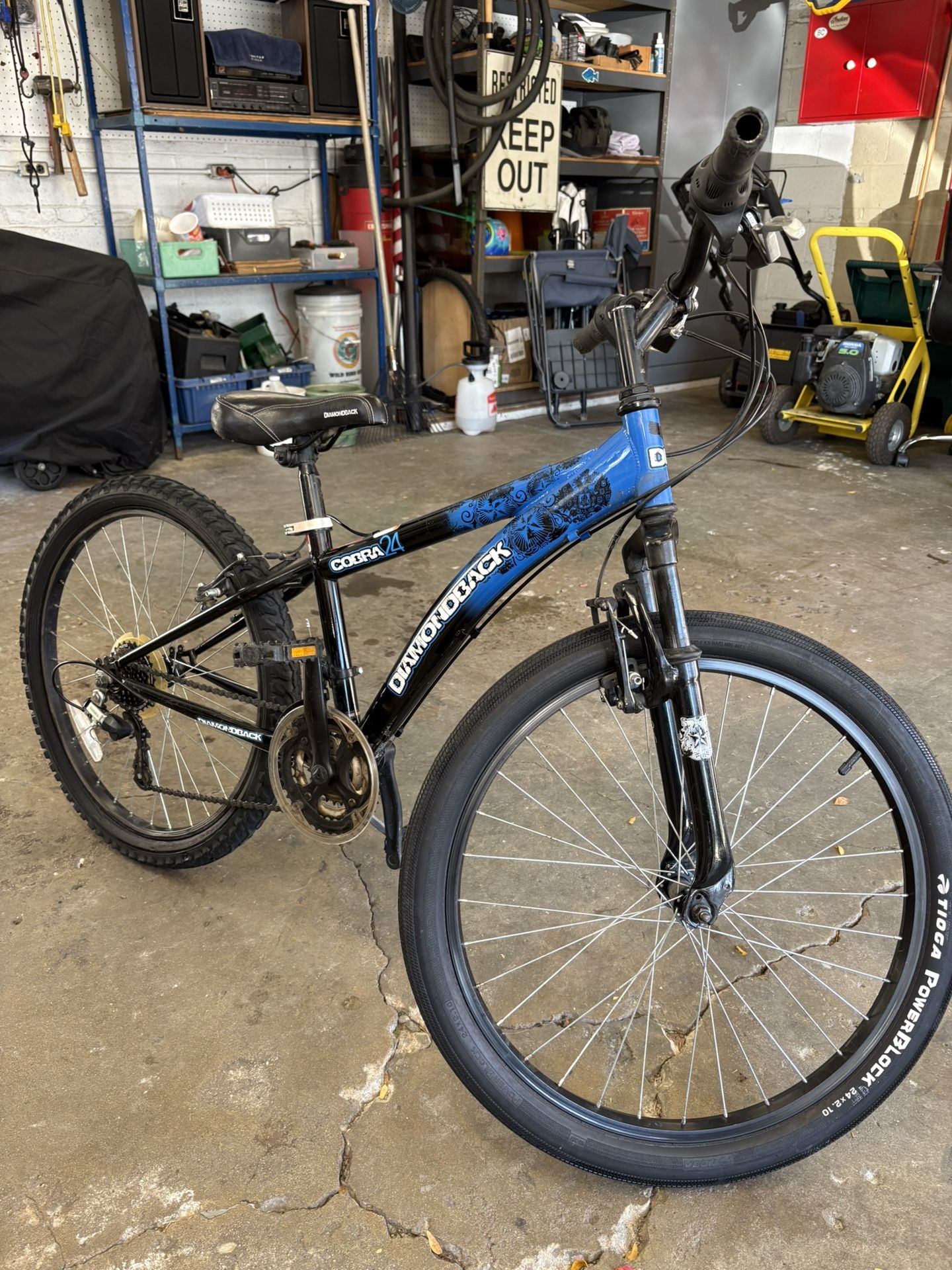 Diamondback Cobra 24 Mountain Bike