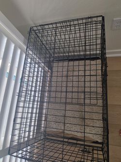 Brand NEW dog crate