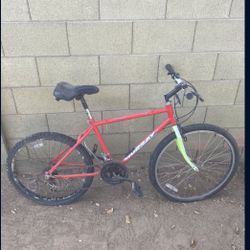 Mountain Bike