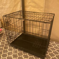 Medium Size Cage