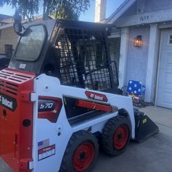 Bobcat Available