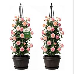 Alisisfores Garden Trellis for Climbing Plants, 71-inch