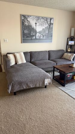 Grey Sectional Couch