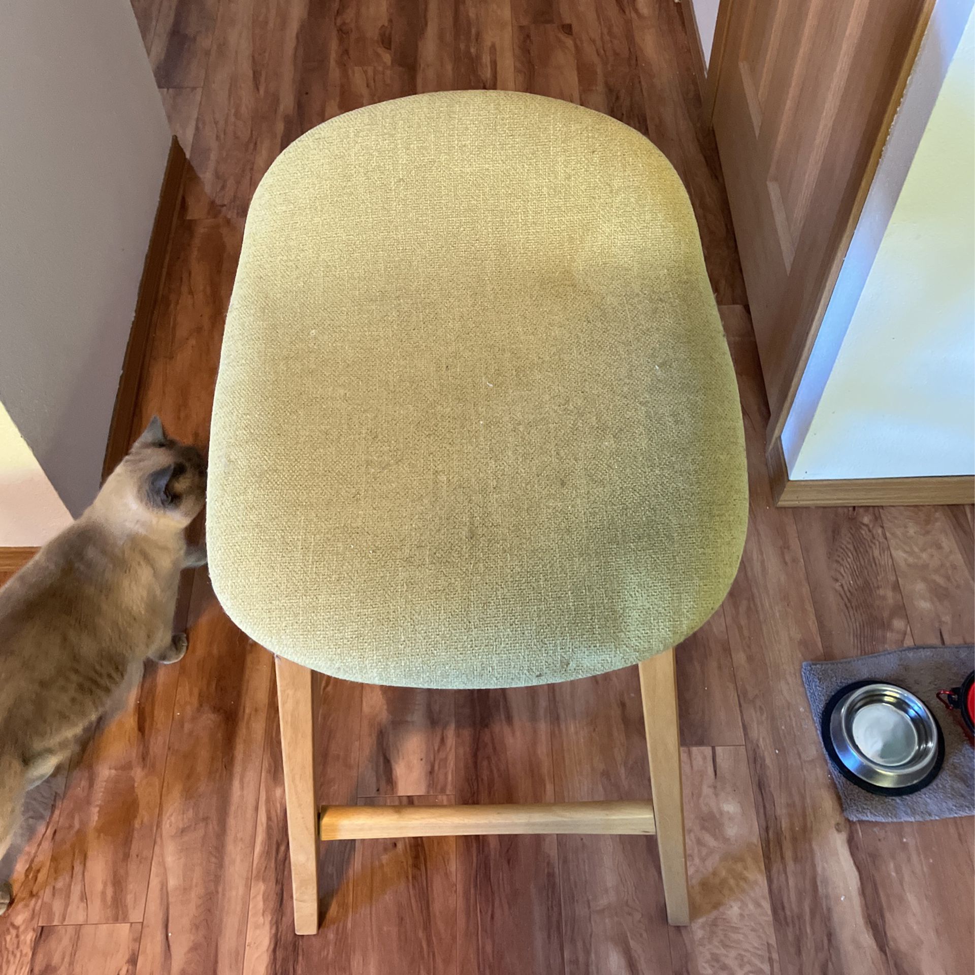 Light Green Stool/chair