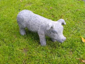 Pig Statue