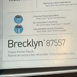 Moen Brecklyn Faucet (new) 