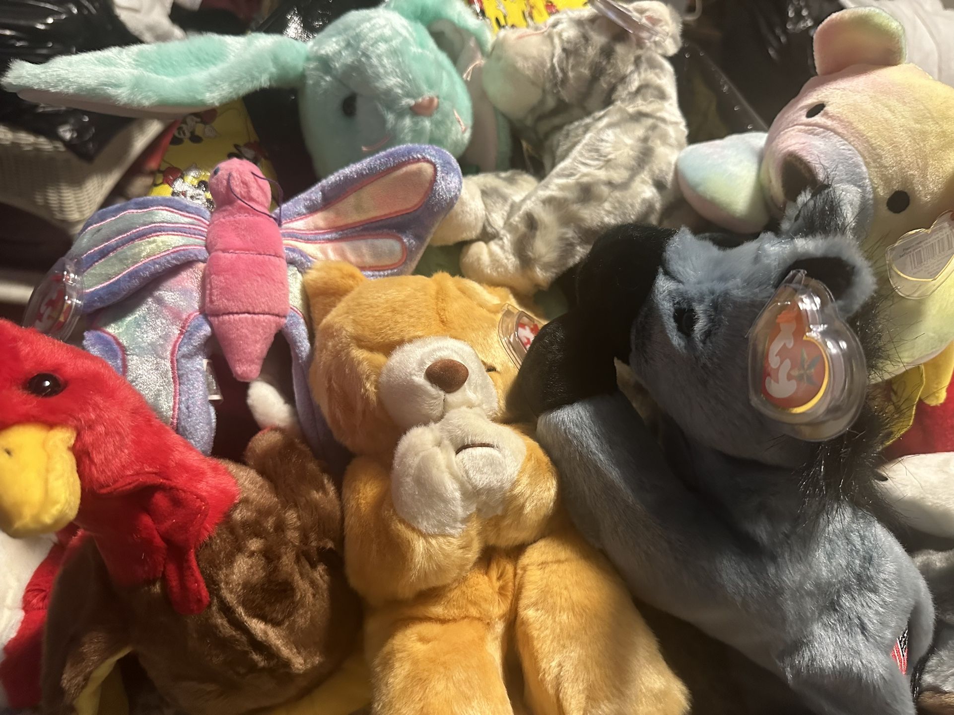 Beanie Babies For Sale