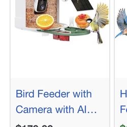 Bird Feeder