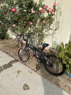 Kids Bike
