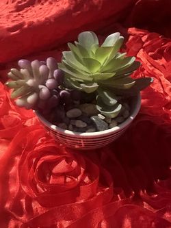 Fake Succulent 