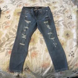 Torrid Bombshell Skinny Jeans