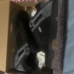 DVS shoes