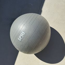 Weighted Stability Yoga Ball