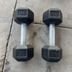 20lb Dumbbells 