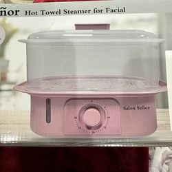 Hot Towel Steamer 