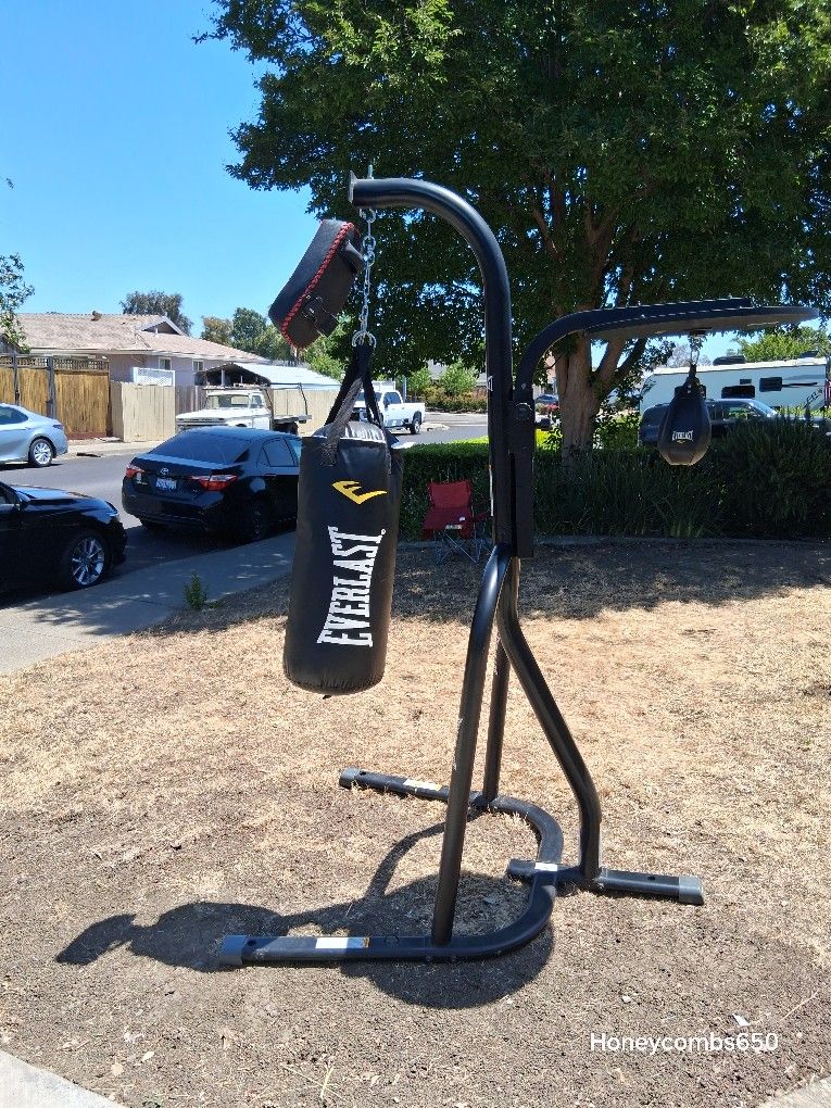 Everlast Gym Set