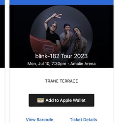 2 Tickets to Blink-182 