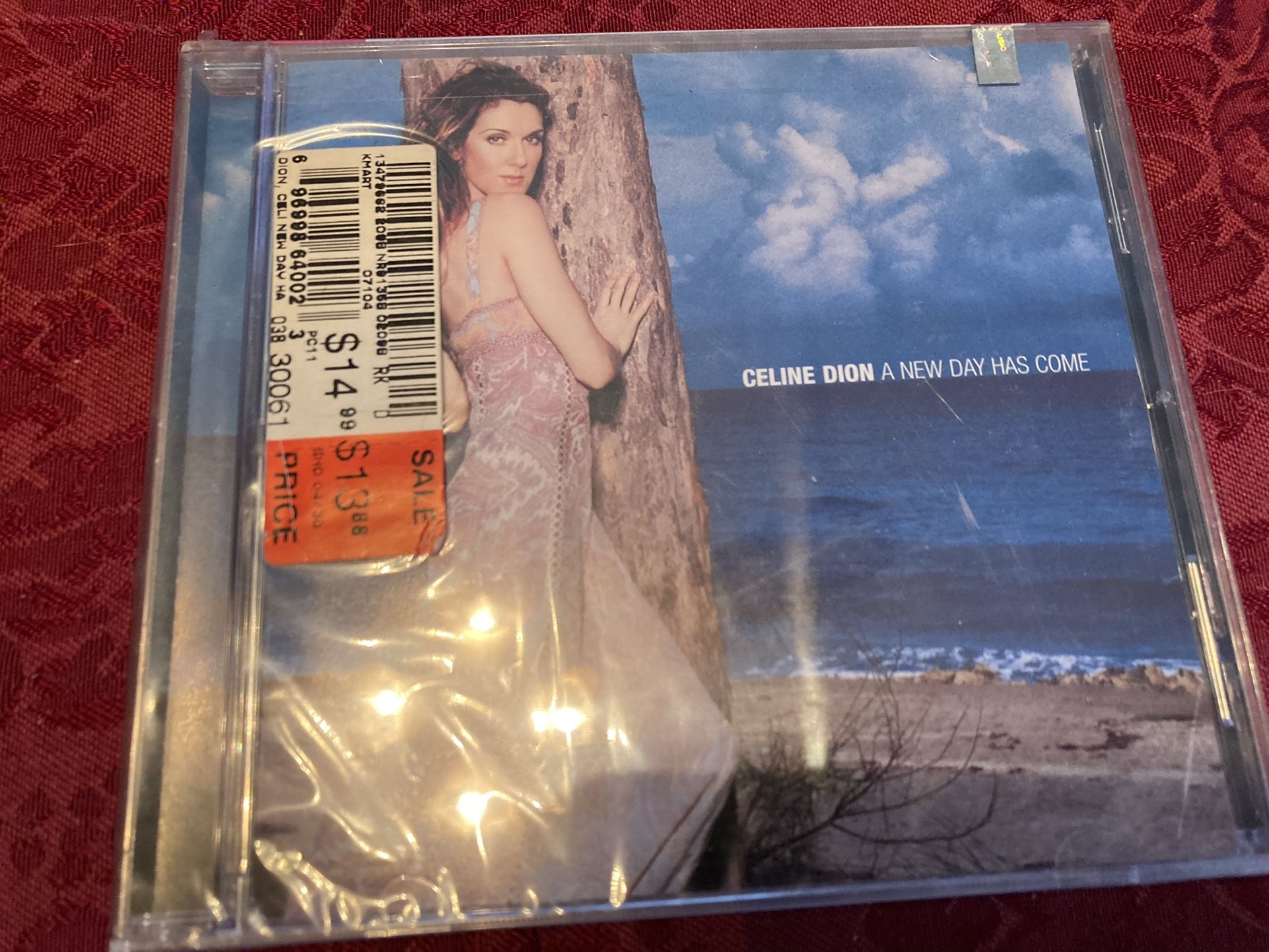 Celine Dion - A New Day Has Come