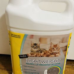 Cat Litter 