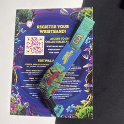 Beyond Wonderland two day event bracelet