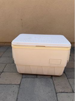 Igloo Hard Cooler