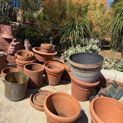 Terracotta Pots