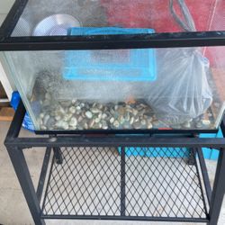 Fish Tank