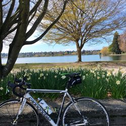 Canondale 2016 SuperSix EVO 54”