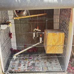 Bird Cages Fit Sale 
