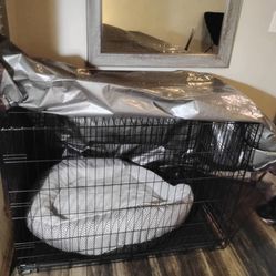 Dog large grate with strong cover