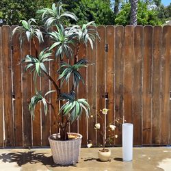 Artificial plants with glass vase