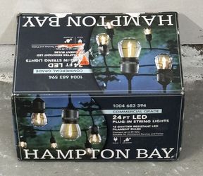 Brand New Outdoor/indoor Plug In LED lights