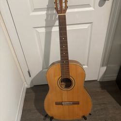 Giannini Serie Estudo Guitar