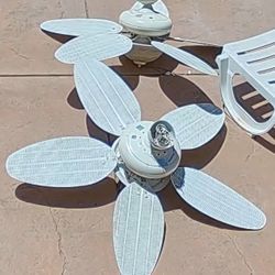 2 Outdoor Fan / Lights