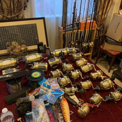 Shimano Reels For Sale