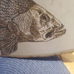 Hand Crafted Seabass Wood Burning 