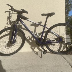 Specialized Ariel Sport Bike