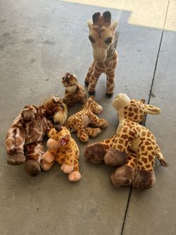 Stuffed Giraffes Including Toys R Us 